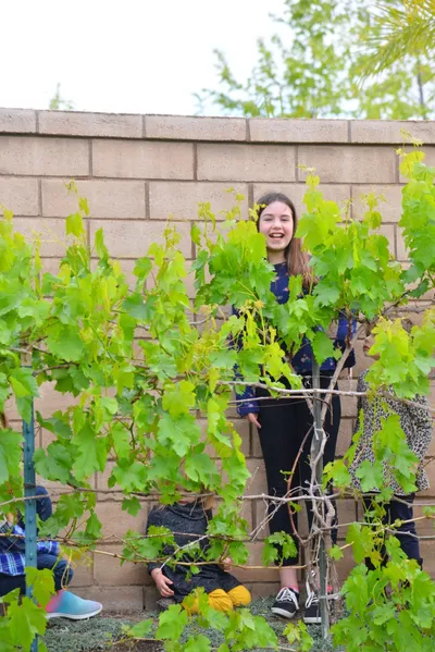 DSC_7422 (Large).JPG